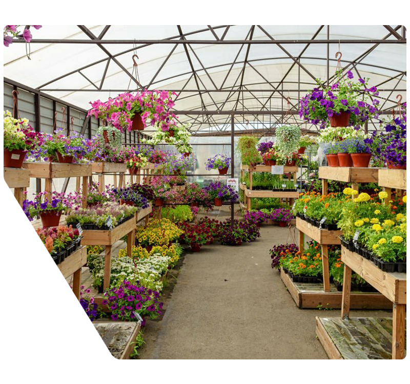 Carbon footprint assessment