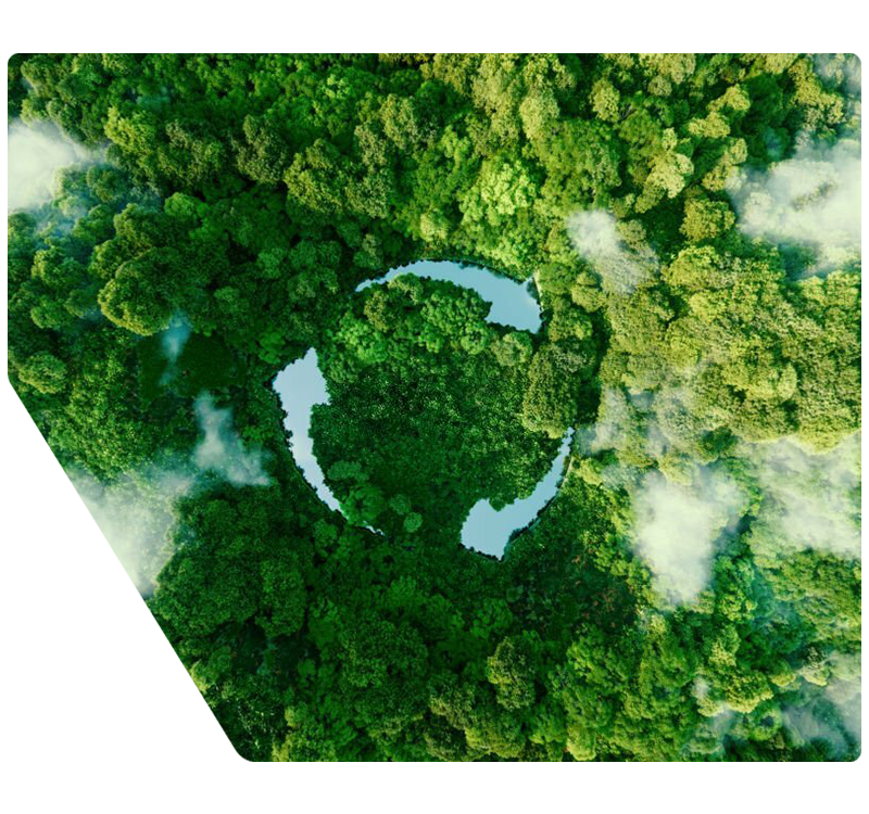 Environment Management System